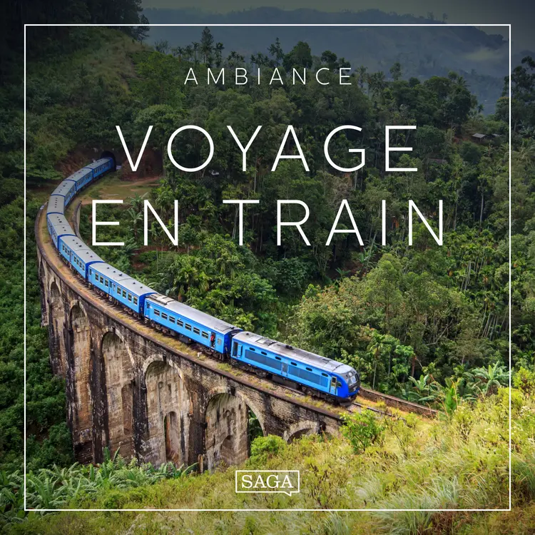 Ambiance - Voyage en Train af Rasmus Broe