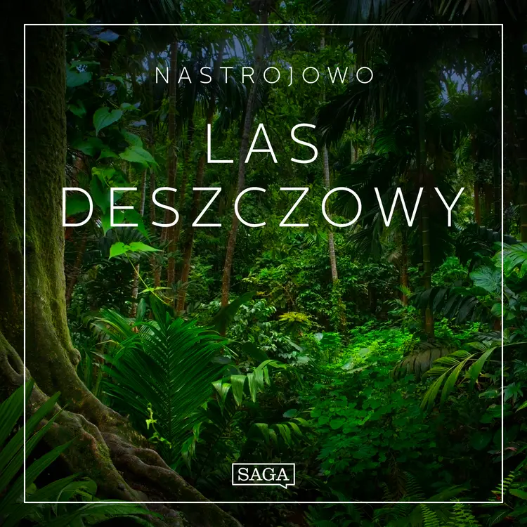 Nastrojowo - Las Deszczowy af Rasmus Broe