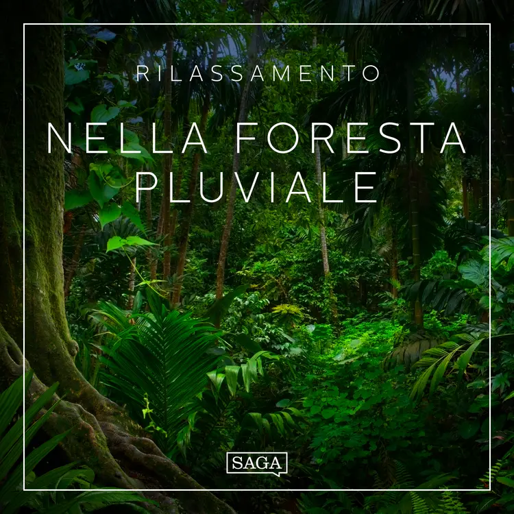 Rilassamento - Nella foresta pluviale af Rasmus Broe