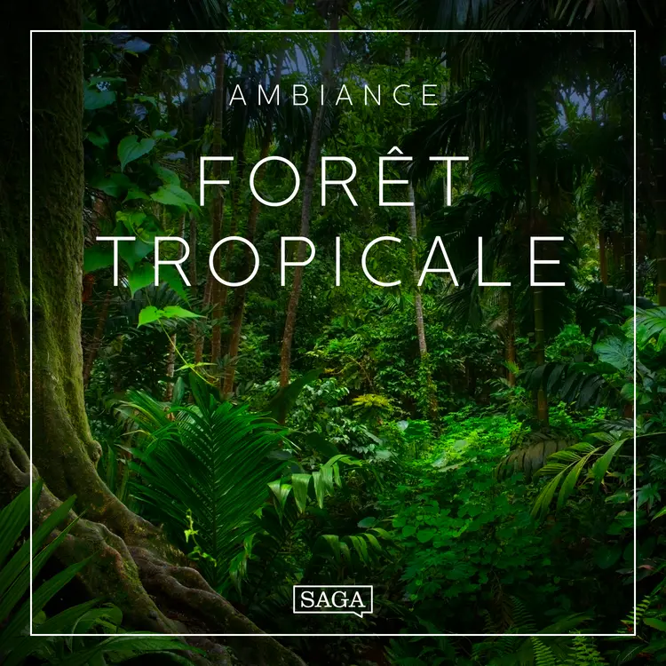 Ambiance - Forêt tropicale af Rasmus Broe