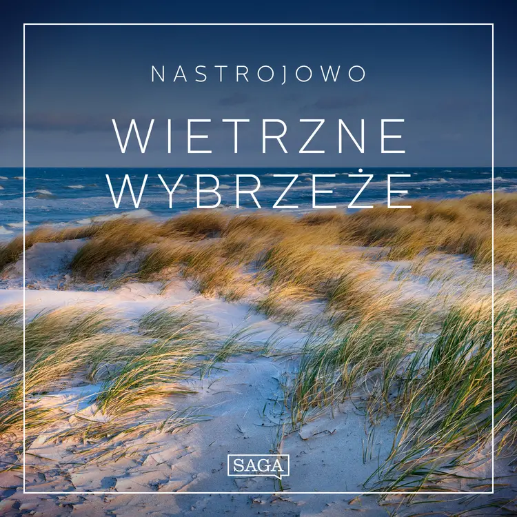 Nastrojowo - Wietrzne Wybrzeże af Rasmus Broe