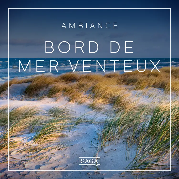 Ambiance - Bord de mer venteux af Rasmus Broe