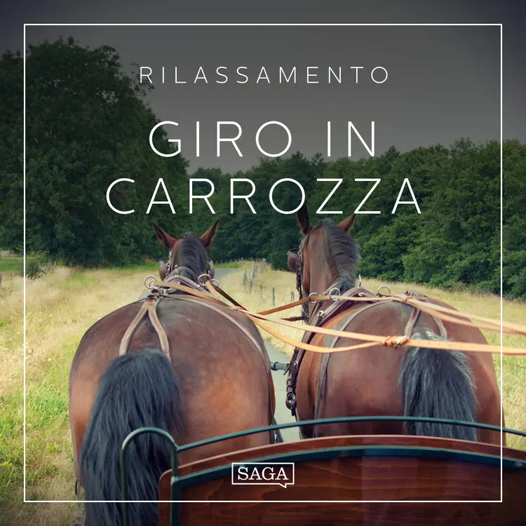 Rilassamento - Giro in carrozza af Rasmus Broe