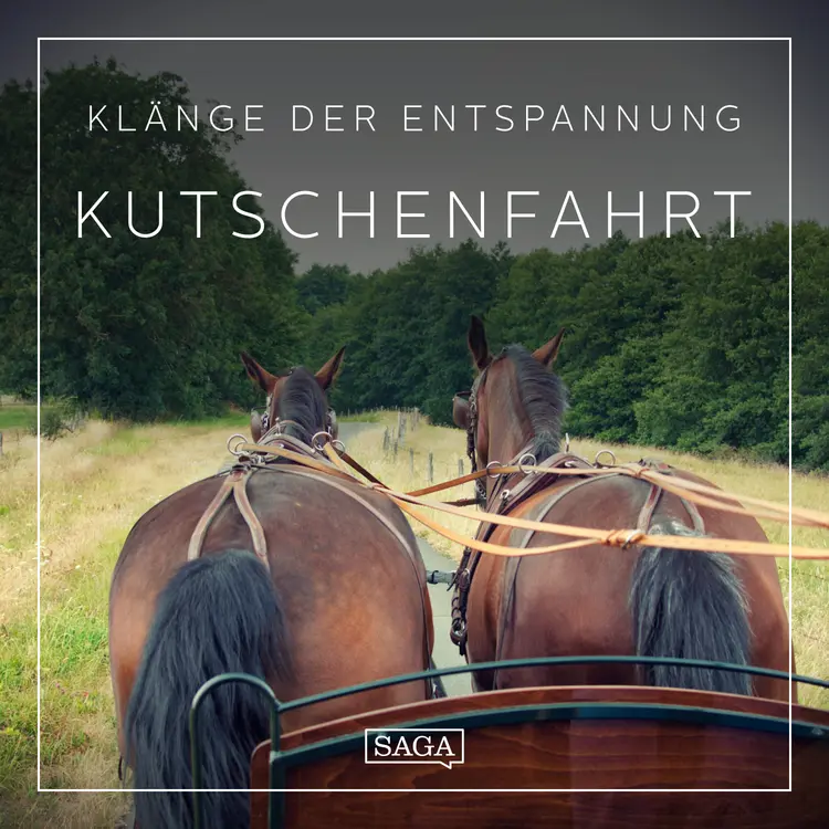 Klänge der Entspannung - Kutschenfahrt af Rasmus Broe