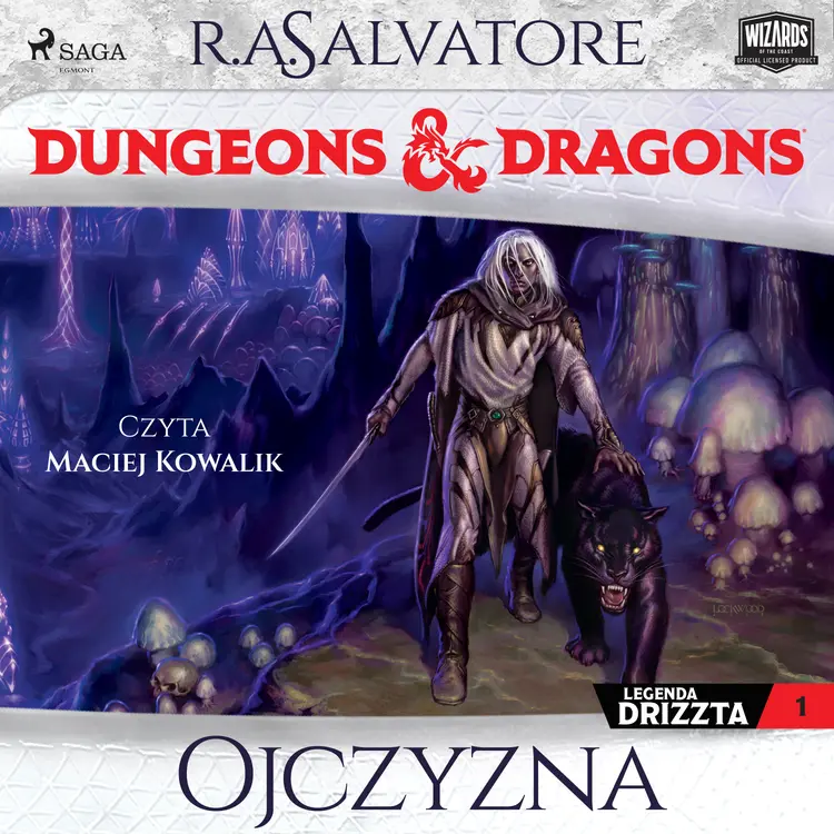 Dungeons&Dragons. Legenda Drizzta. Tom 1: Ojczyzna af R.A. Salvatore