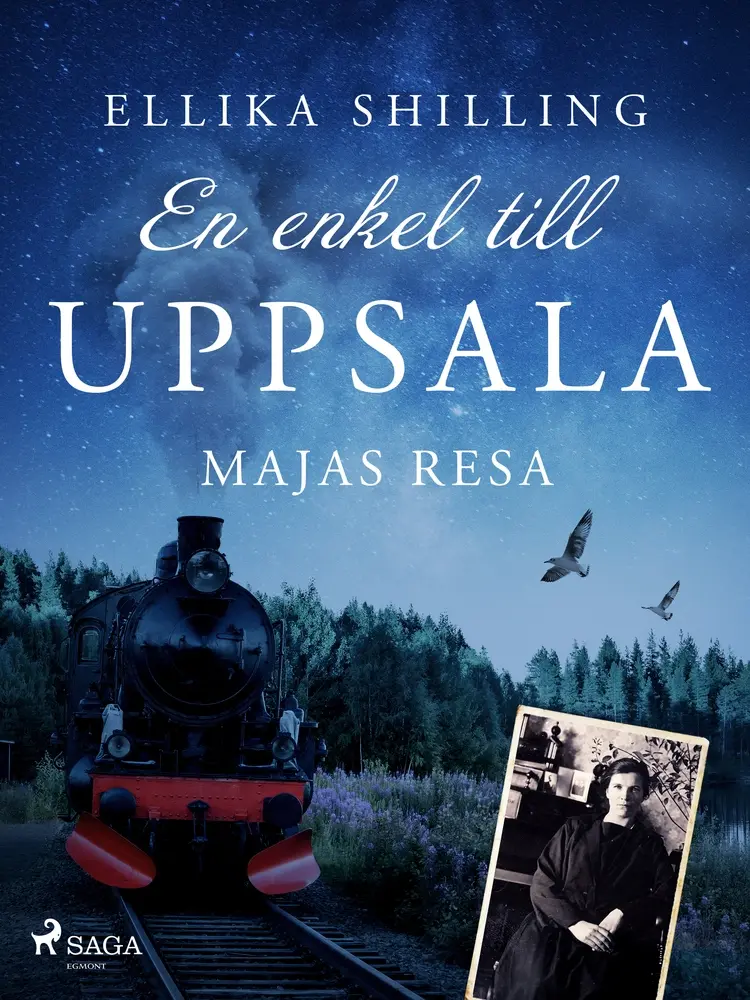 En enkel till Uppsala af Ellika Shilling