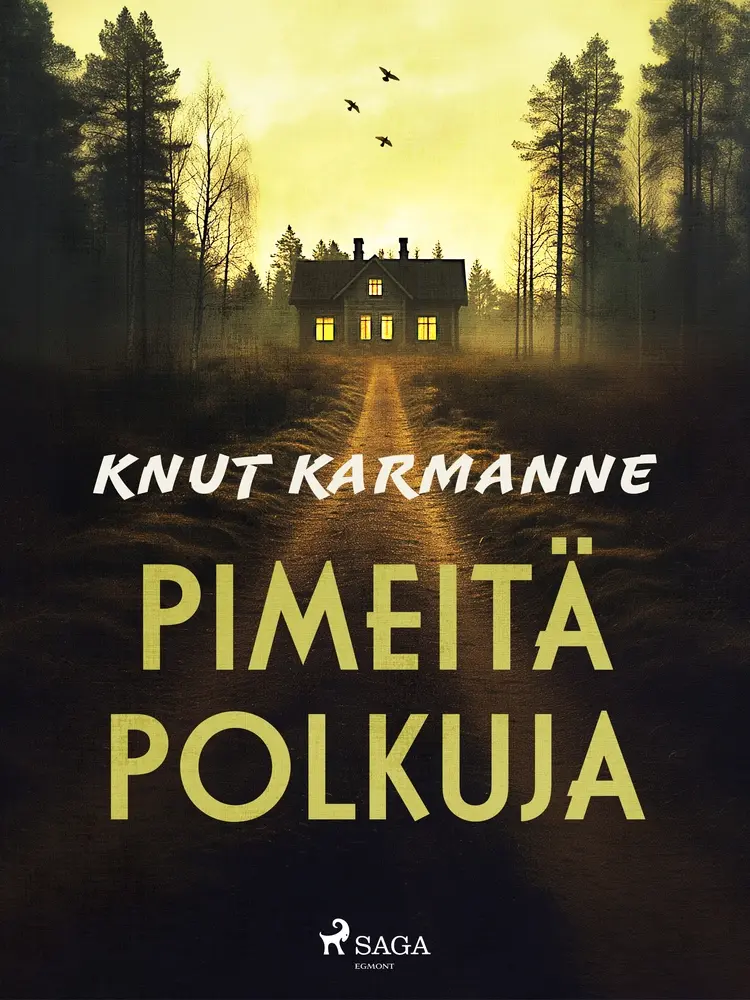 Pimeitä polkuja af Knut Karmanne