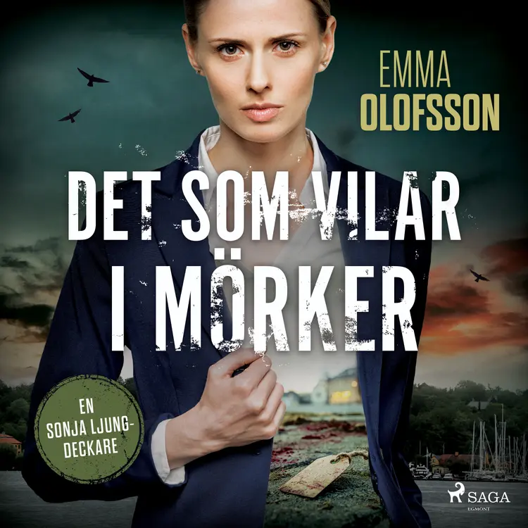 Det som vilar i mörker af Emma Olofsson