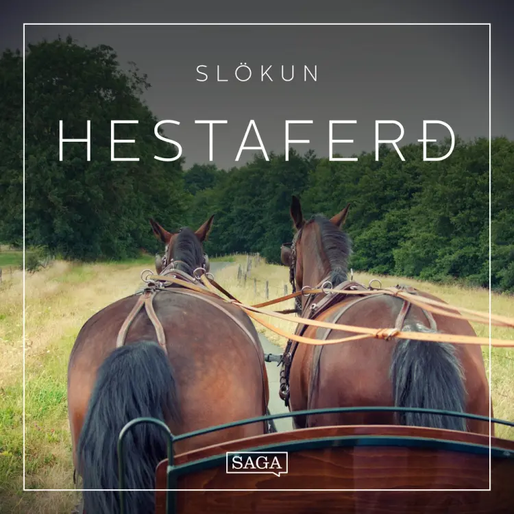 Slökun - Hestaferð af Rasmus Broe