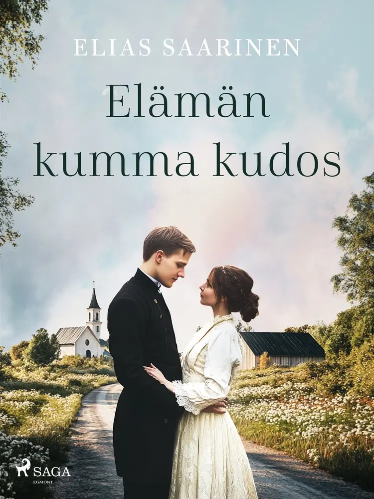 Elämän kumma kudos af Elias Saarinen