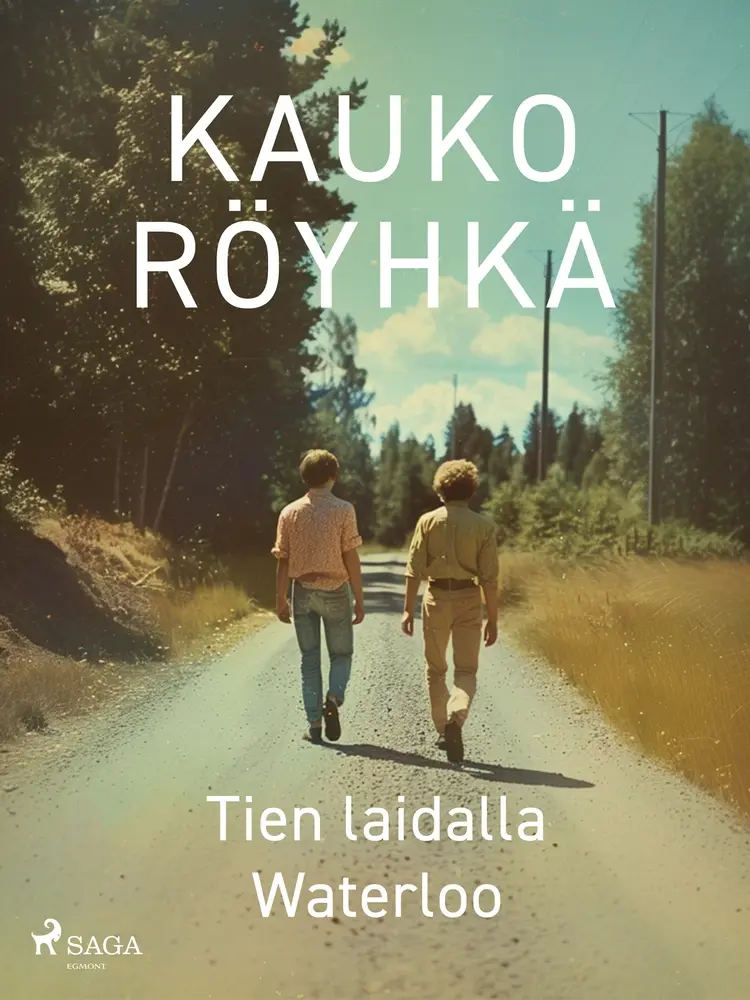 Tien laidalla Waterloo af Kauko Röyhkä