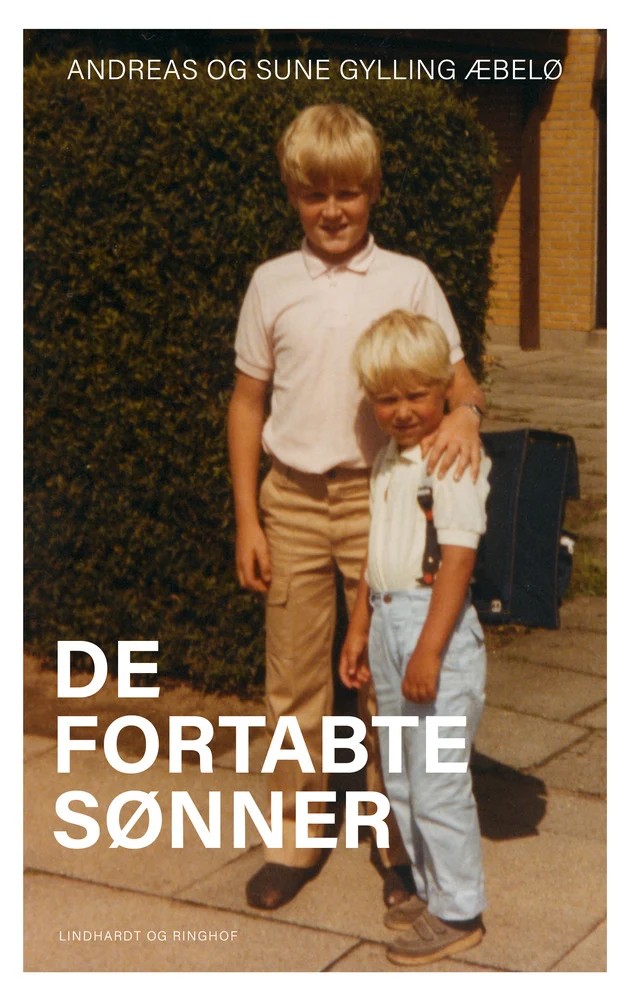 De fortabte sønner cover