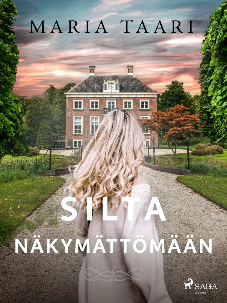Silta näkymättömään af Maria Taari