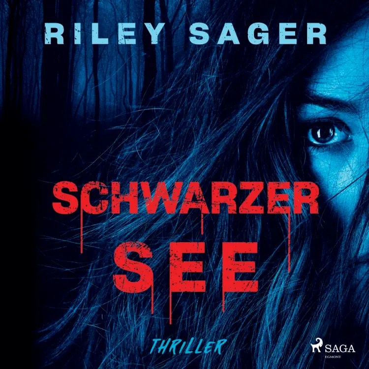 Schwarzer See af Riley Sager
