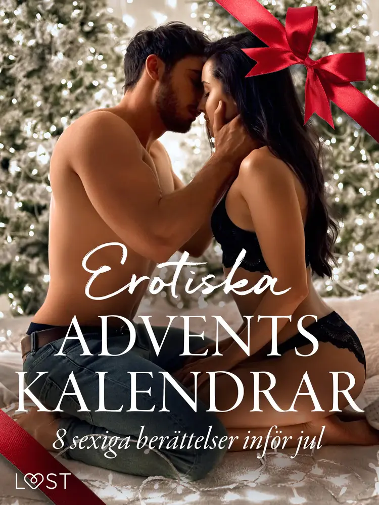 Erotiska adventskalendrar - 8 sexiga berättelser inför jul af B. J. Hermansson