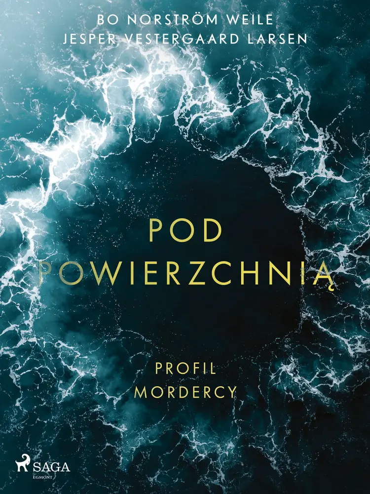 Pod powierzchnią: Profil mordercy af Bo Norström Weile