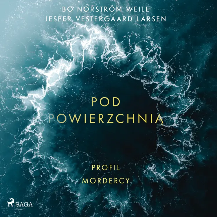 Pod powierzchnią: Profil mordercy af Bo Norström Weile