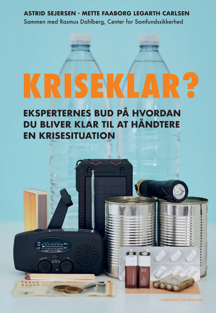 Kriseklar af Astrid Sejersen