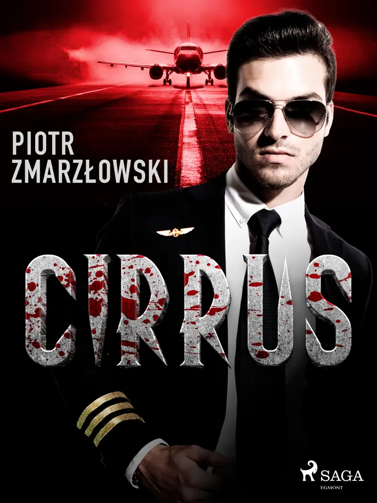 Cirrus af Piotr Zmarzłowski