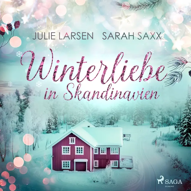 Winterliebe in Skandinavien af Julie Larsen