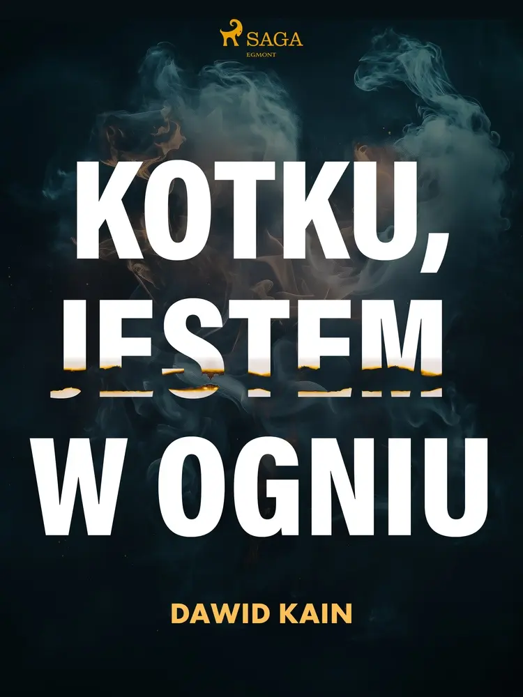 Kotku jestem w ogniu af Dawid Kain