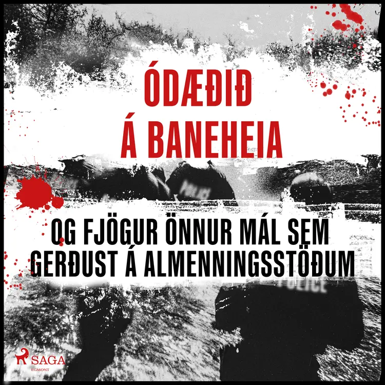 Ódæðið á Baneheia og fjögur önnur mál… af Ýmsir