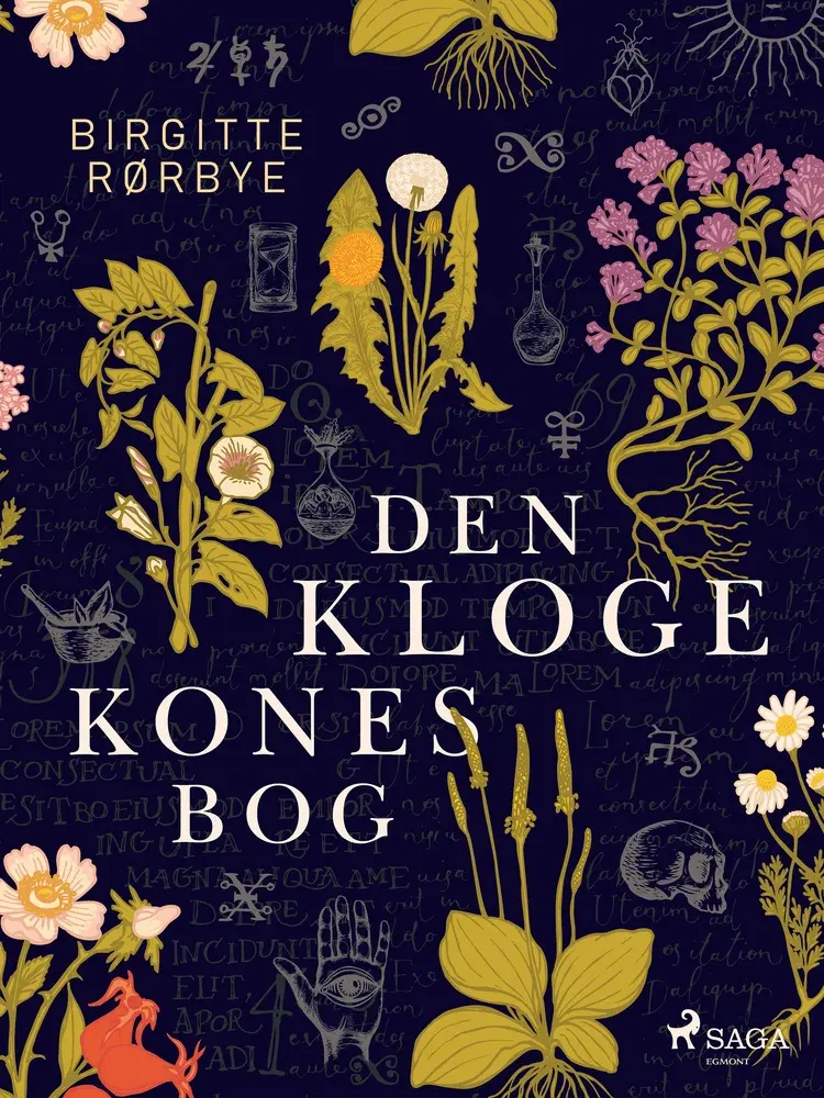 Den kloge kones bog af Birgitte Rørbye