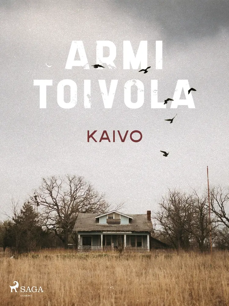 Kaivo af Armi Toivola
