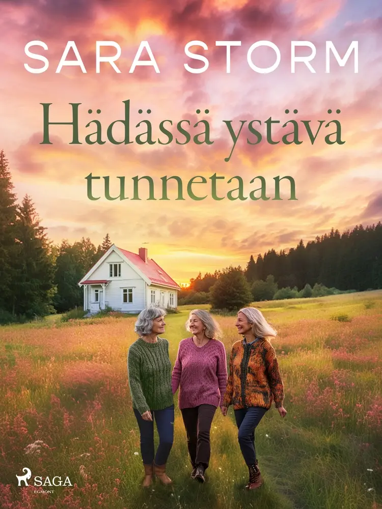 Hädässä ystävä tunnetaan af Sara Storm
