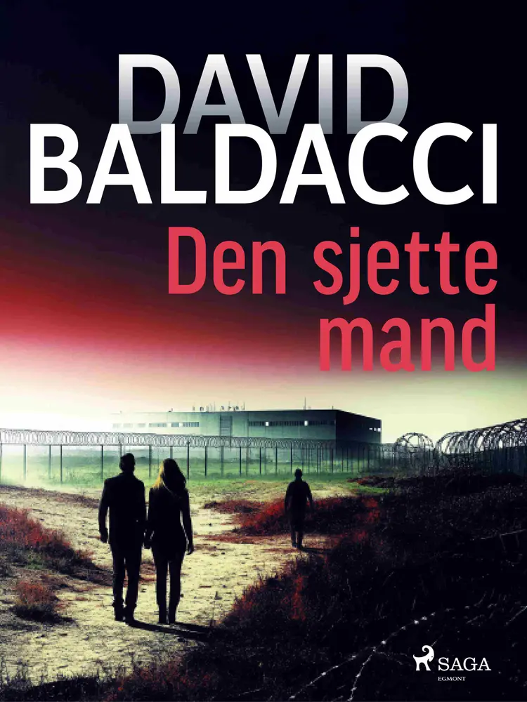 Den sjette mand af David Baldacci