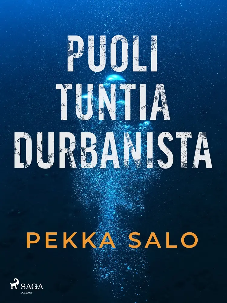 Puoli tuntia Durbanista af Pekka Salo