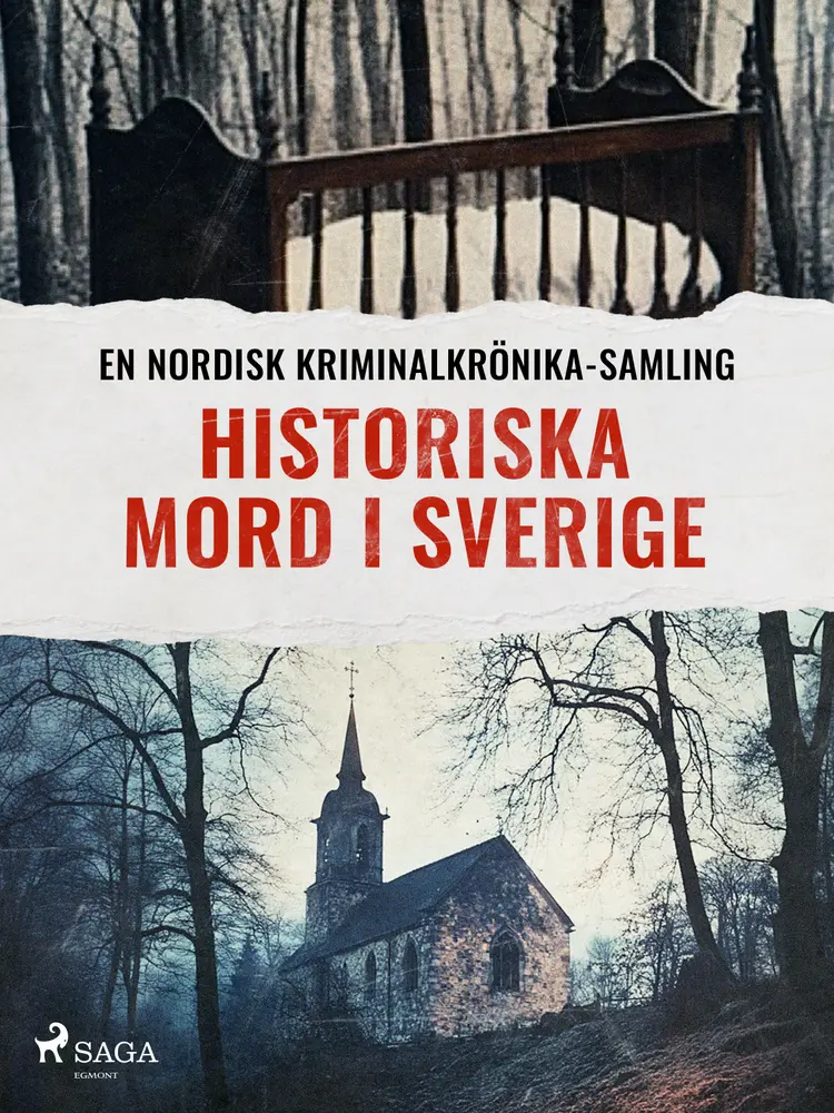 Historiska mord i Sverige af Diverse