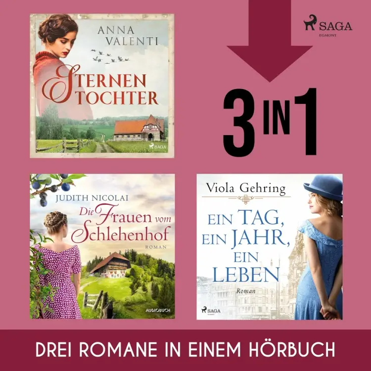 Sternentochter, Die Frauen vom Schlehenhof & Ein Tag, ein Jahr, ein Leben af Anna Valenti
