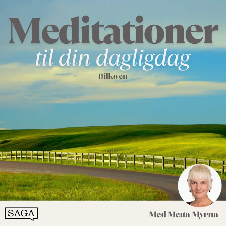 Meditation i bilkøen - 15 minutters guidet meditation af Metta Myrna