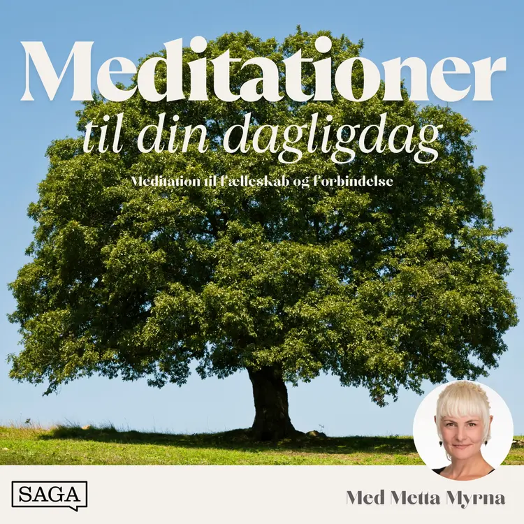 20 minutters guidet meditation til forbindelse og fællesskab af Metta Myrna