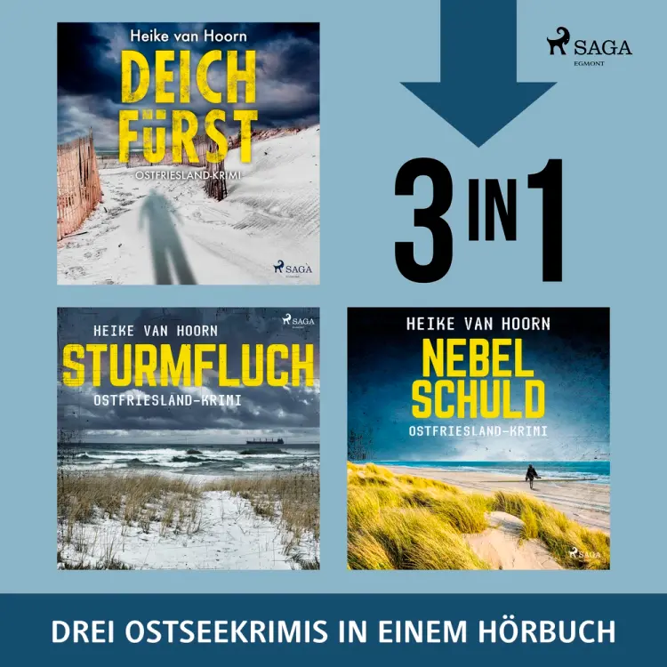Deichfürst, Sturmfluch, Nebelschuld af Heike van Hoorn