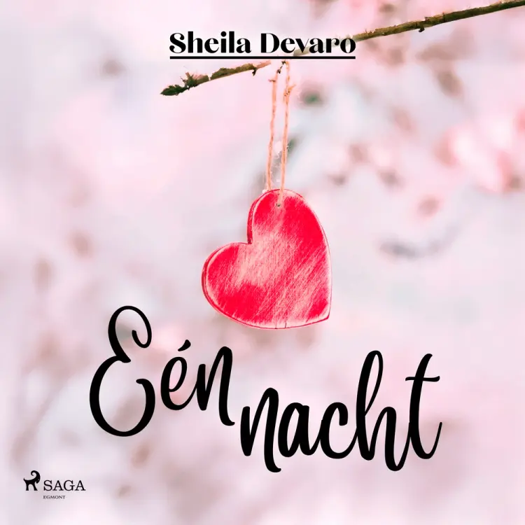 Eén nacht af Sheila Devaro