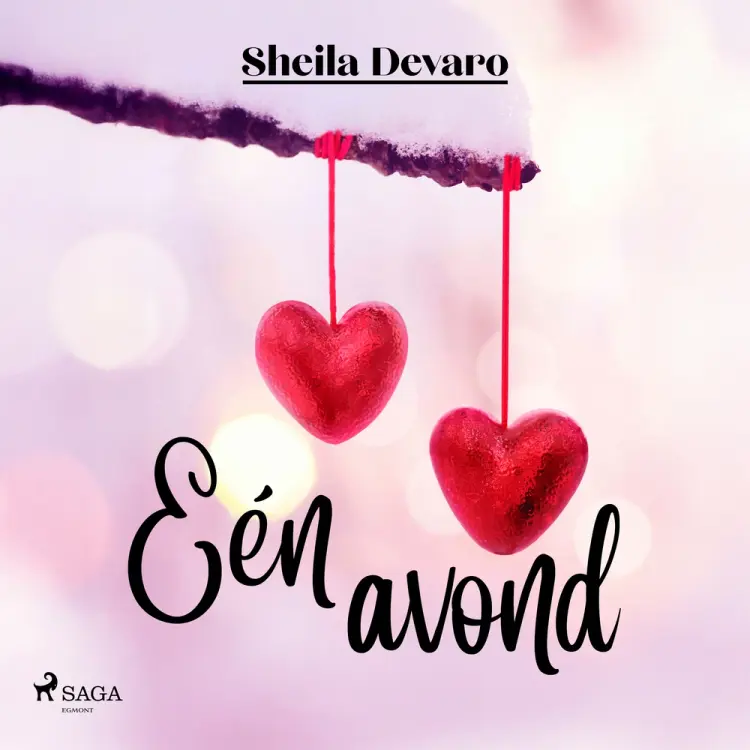 Eén avond af Sheila Devaro