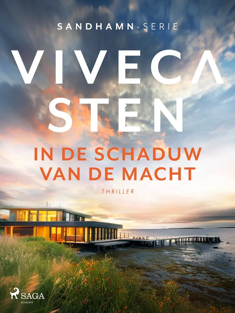 In de schaduw van de macht af Viveca Sten