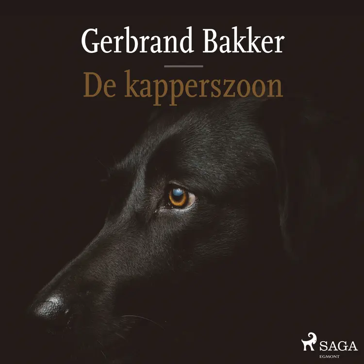 De kapperszoon af Gerbrand Bakker