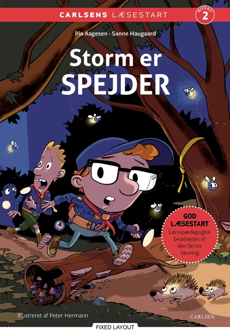 Storm er spejder af Sanne Haugaard