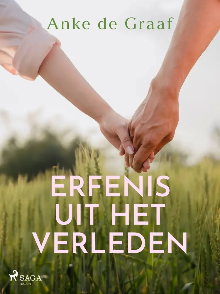 Erfenis uit het verleden af Anke de Graaf