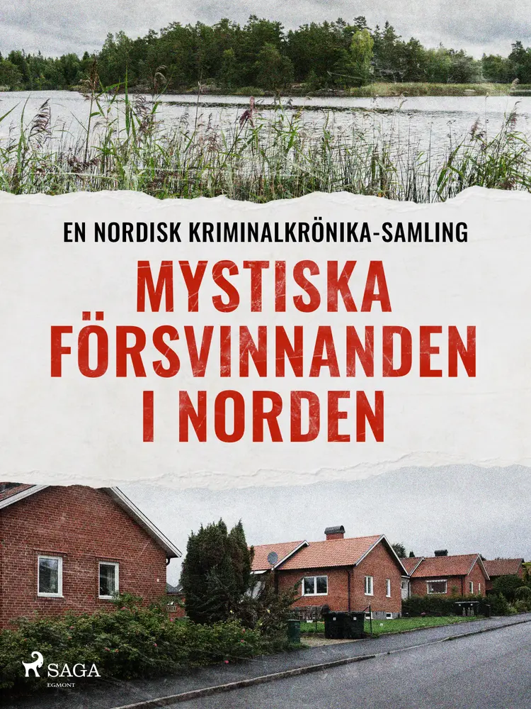 Mystiska försvinnanden i Norden af Diverse