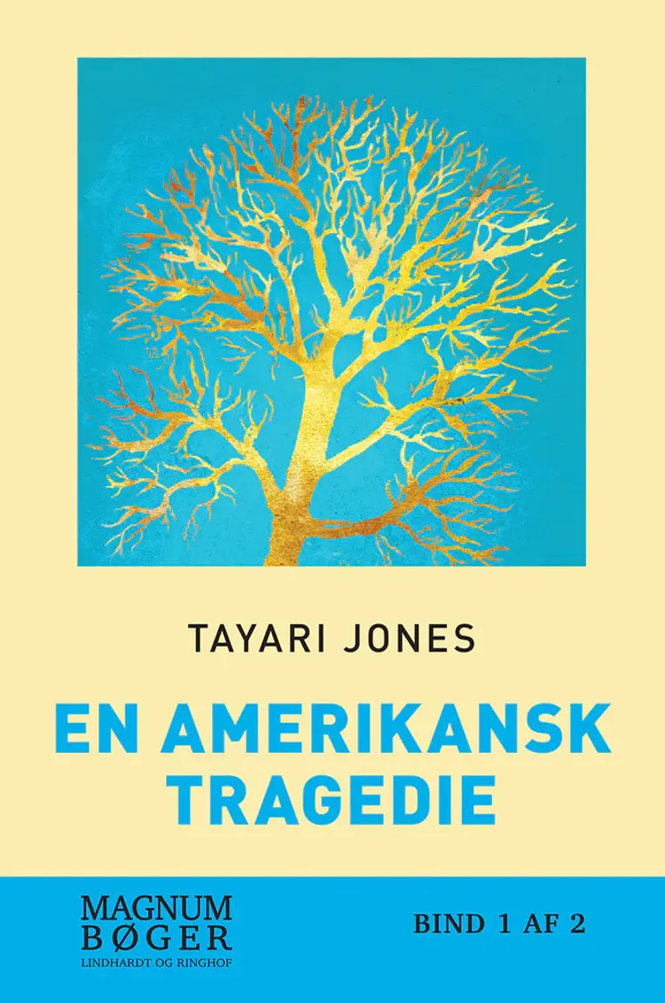 En amerikansk tragedie af Tayari Jones