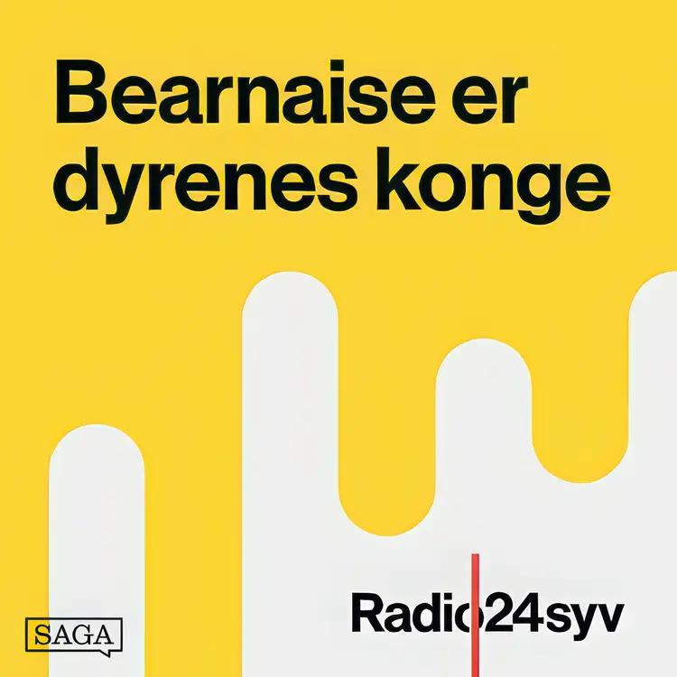 Bosse Hall Christensen på Sankt Peder af Martin Kongstad
