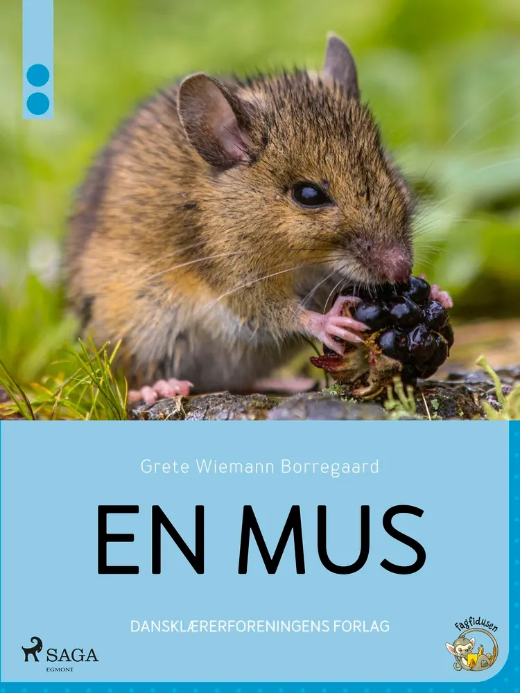 En mus af Grete Wiemann Borregaard