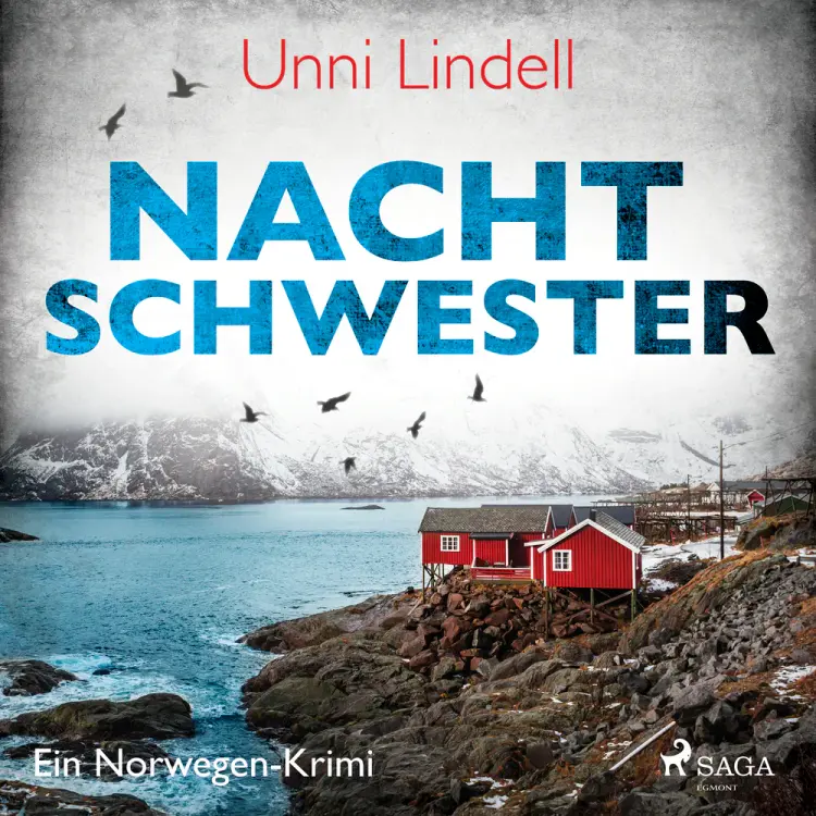 Nachtschwester af Unni Lindell