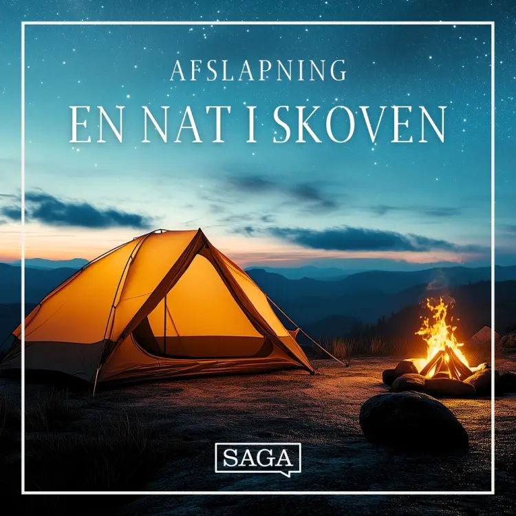 En nat i skoven af Rasmus Broe