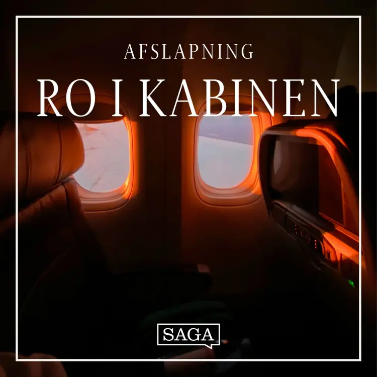 Ro i kabinen - Lyden af en flyvemaskine af Rasmus Broe