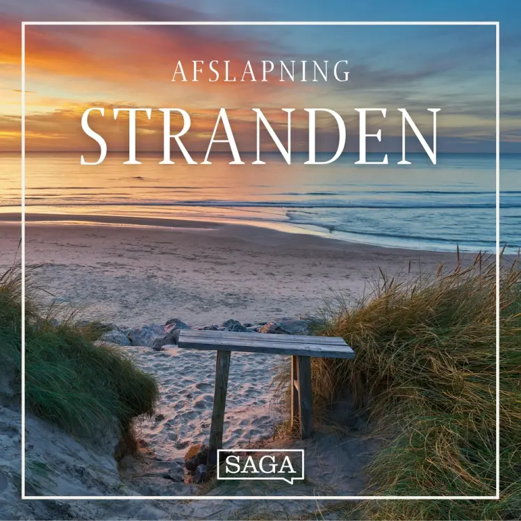 Stranden - Solskin og skumsprøjt af Rasmus Broe